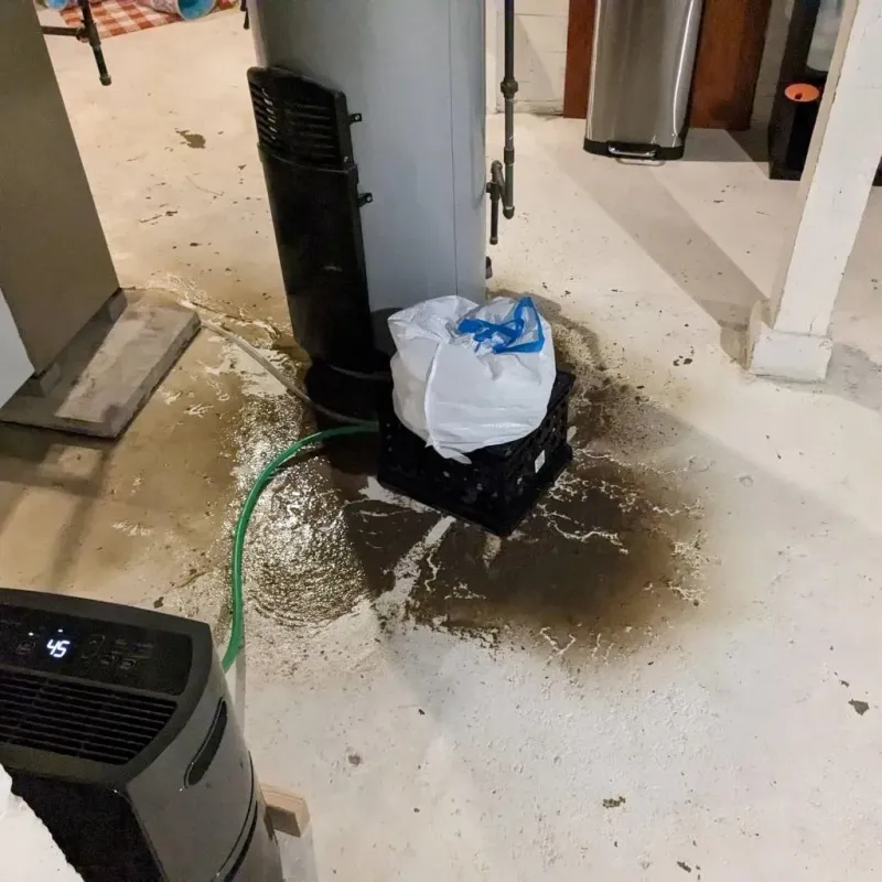 Sewage Backup Cleanup Service in Pegram, TN